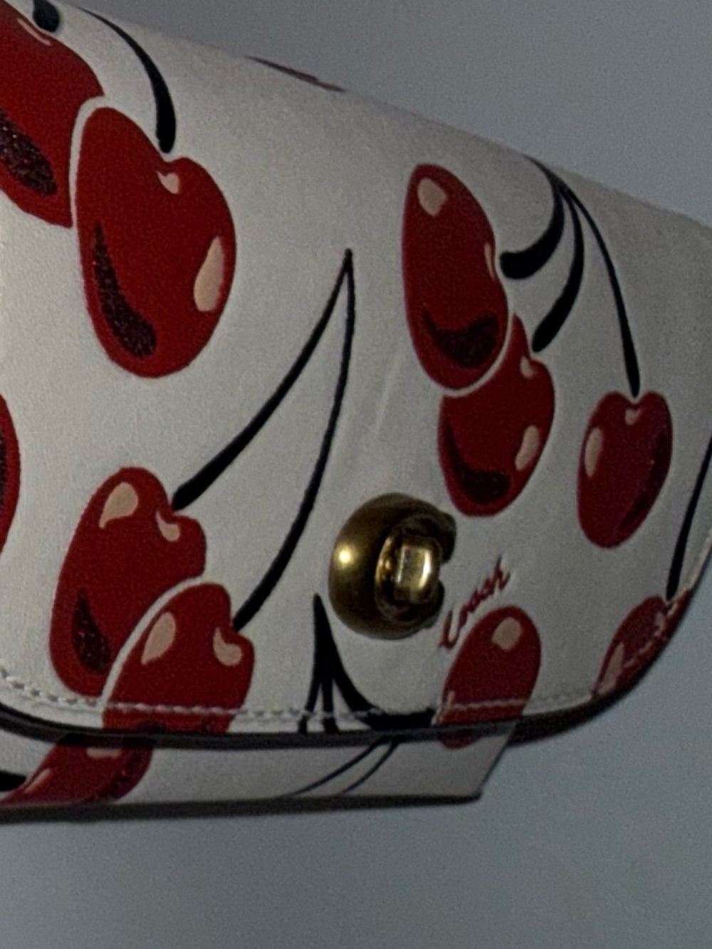 NWT Coach Cherry-Print Eye Glasses Case - Picture 8 of 9